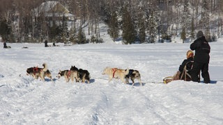Reise-Gewinner in Kanada -  SWR3 Elch und weg Québec