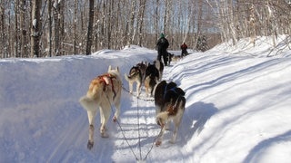 Reise-Gewinner in Kanada -  SWR3 Elch und weg Québec