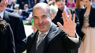 Rick Hoffman (Foto: dpa/picture-alliance) Rick Hoffman