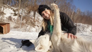 SWR3 Elch und weg – Quebec (Foto: Quebec Original, Hamelin, Jean-François) SWR3 Elch und weg – Quebec