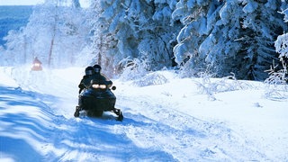 SWR3 Elch und weg – Quebec (Foto: Quebec Original, Huard, Jean-Pierre) SWR3 Elch und weg – Quebec