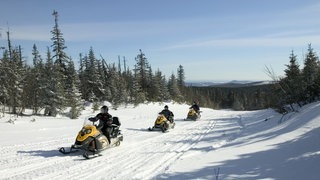 SWR3 Elch und weg – Quebec (Foto: Quebec Original, Jopusselin, Fabrice) SWR3 Elch und weg – Quebec
