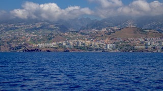 Madeira Vorabtrip (Foto: SWR | Patrick Schütz) Madeira Vorabtrip
