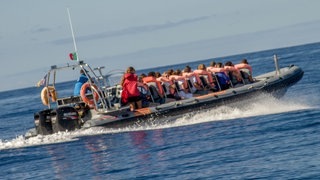 Madeira Vorabtrip (Foto: SWR | Patrick Schütz) Madeira Vorabtrip
