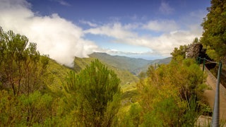 Madeira Vorabtrip (Foto: SWR | Patrick Schütz) Madeira Vorabtrip
