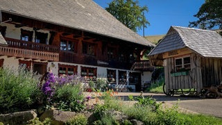 schwarzwaldurlaub (Foto: SWR3) schwarzwaldurlaub