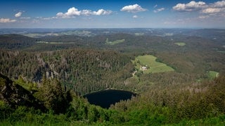 schwarzwaldurlaub (Foto: SWR3) schwarzwaldurlaub