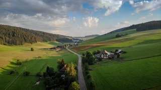 schwarzwaldurlaub (Foto: SWR3) schwarzwaldurlaub