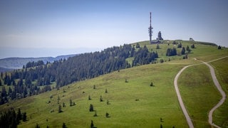 schwarzwaldurlaub (Foto: SWR3) schwarzwaldurlaub