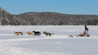Reise-Gewinner in Kanada -  SWR3 Elch und weg Québec