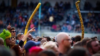 Mit Mando Diao geht die Sonne unter - mando_diao-12.jpg-53460