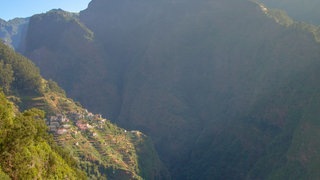 Madeira Vorabtrip (Foto: SWR | Patrick Schütz) Madeira Vorabtrip