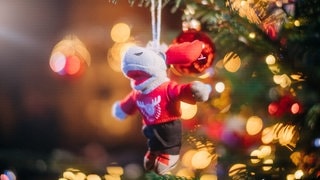 SWR3 Weihnachtskonzert mit Michael Patrick Kelly