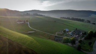 schwarzwaldurlaub (Foto: SWR3) schwarzwaldurlaub