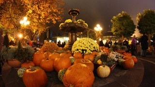 1-Halloween3 - 012.jpg