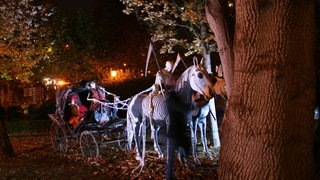 3-Halloween3 - 004.jpg
