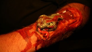 13-Halloween5 - 015.jpg