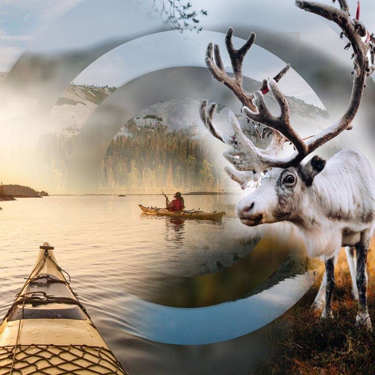 Ein Rentier und ein Kanu auf einem See in Finnland.