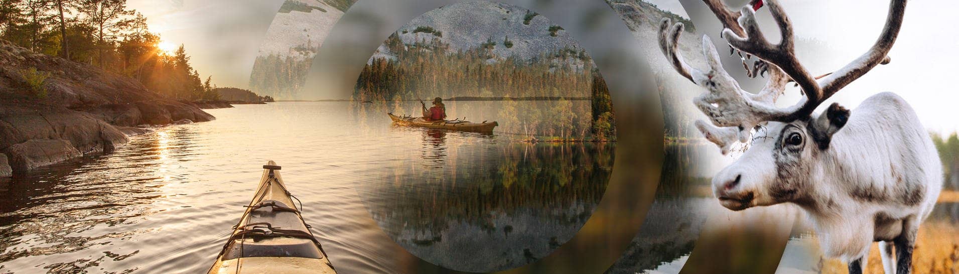 Ein Rentier und ein Kanu auf einem See in Finnland.