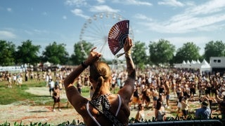 Das Sea You Festival am Tunisee bei Freiburg 2024 ist ein wahrgewordener Sommertraum für Fans elektronischer Musik (Foto: SWR, Niko Neithardt) Das Sea You Festival am Tunisee bei Freiburg 2024 ist ein wahrgewordener Sommertraum für Fans elektronischer Musik