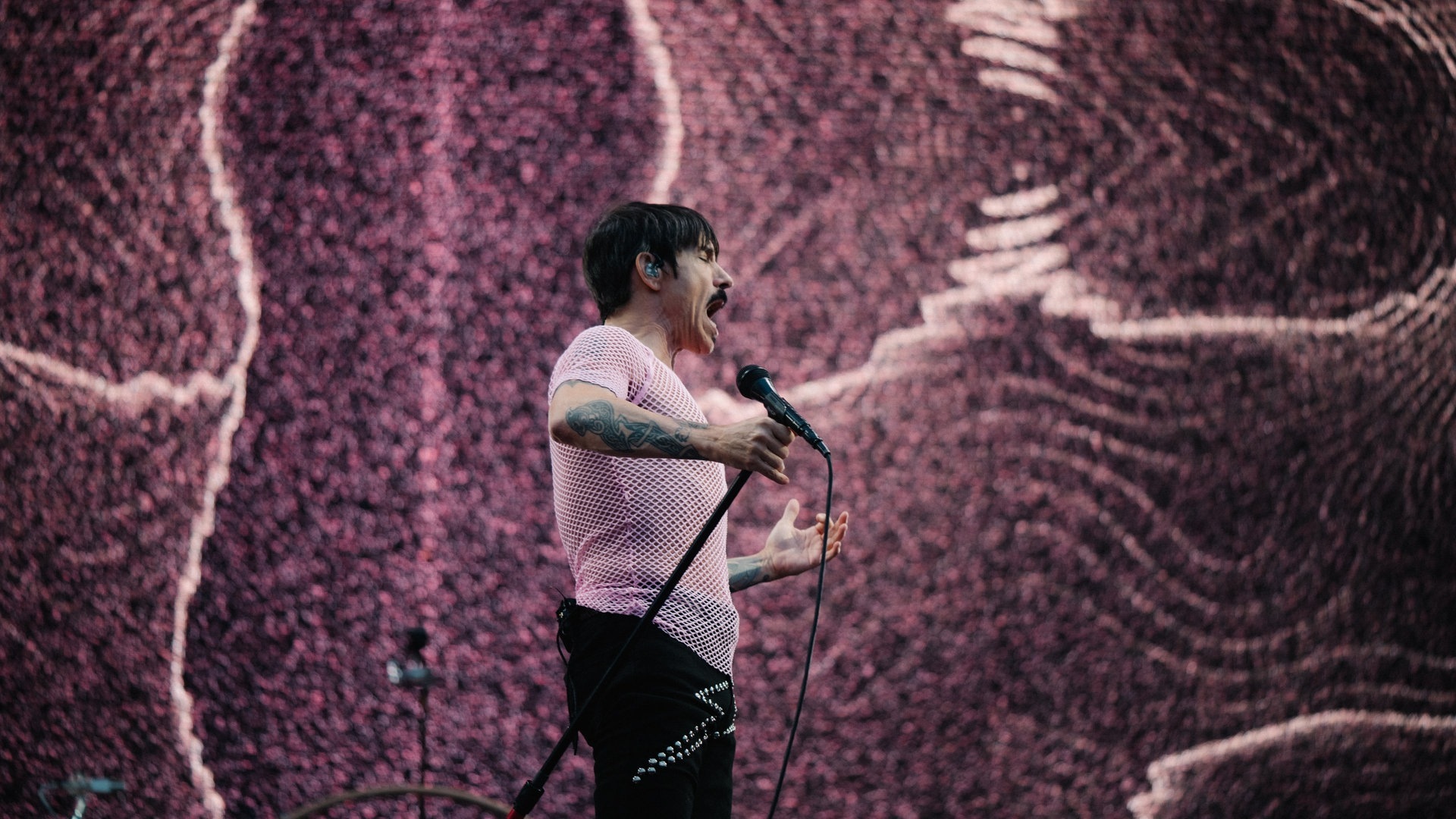 Foto: SWR3, Mario Hegewald Red Hot Chili Peppers Konzert in Mannheim (Foto: SWR3, Mario Hegewald)