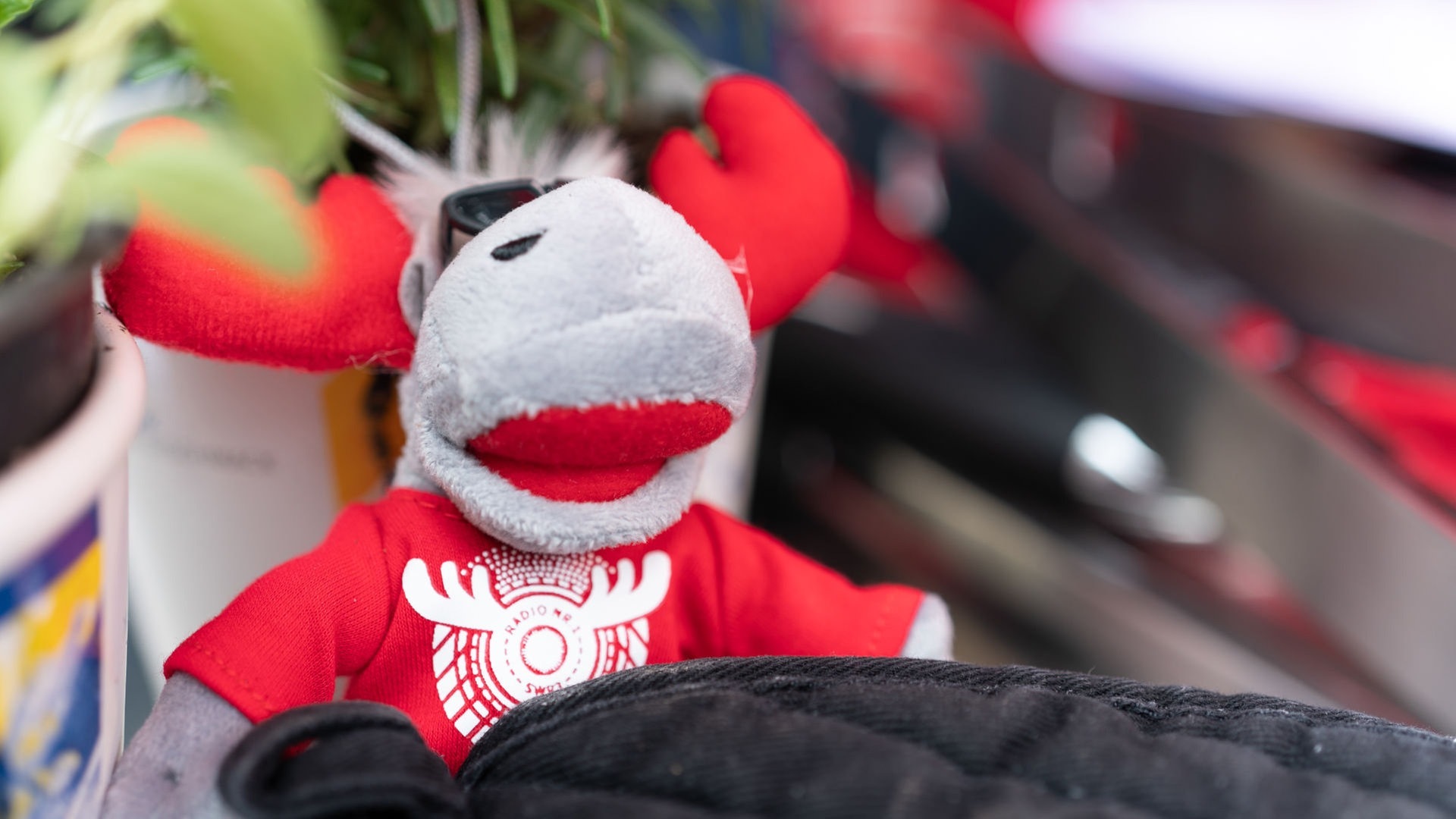 Foto: SWR3 SWR3 Grillparty: Vorspeise (Foto: SWR3)