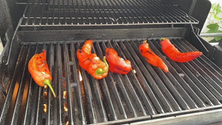 Die Zutaten für den erste Gang liegen bei SWR-Hörer Ingo auf dem Grill: Röstiroulade mit Paprikatatar und Gurkensalat. (Foto: SWR, Ingo Dobner)