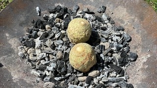 Bilder vom großen SWR3 Grillen 20025, die die SWR3 Community schickt. (Foto: SWR3, privat) Bilder vom großen SWR3 Grillen 20025, die die SWR3 Community schickt.