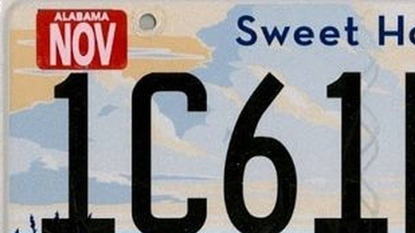 Lynyrd Skynyrd - Sweet Home Alabama (Foto: SWR3)