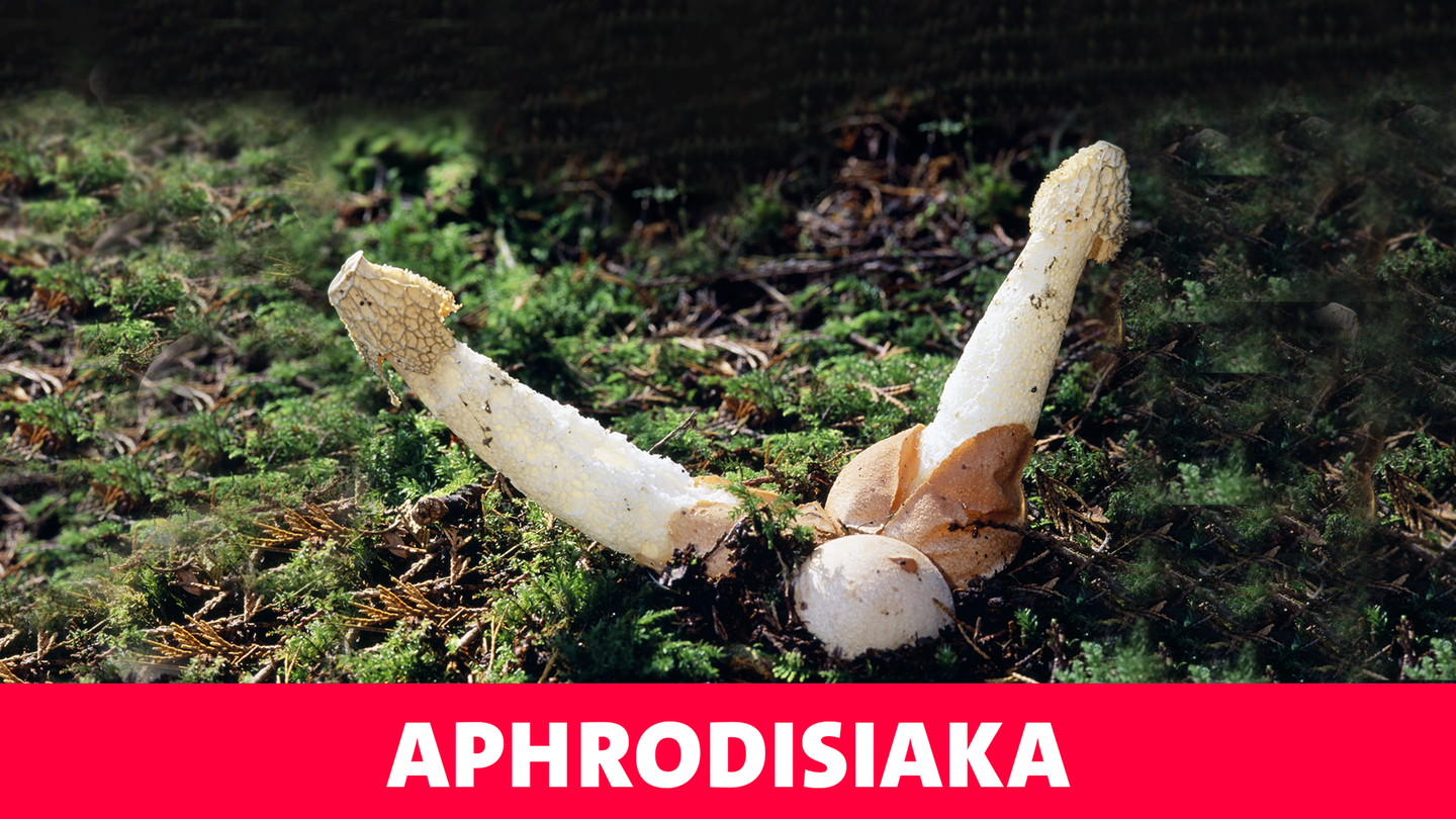 aphrodisiaka (Foto: dpa Bildfunk, Picture Alliance)