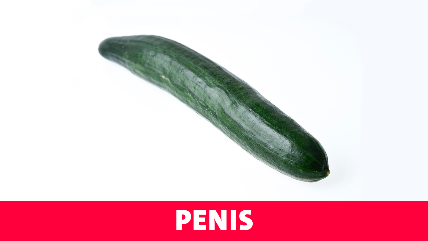 Penis (Foto: picture-alliance / Reportdienste, Picture Alliance)