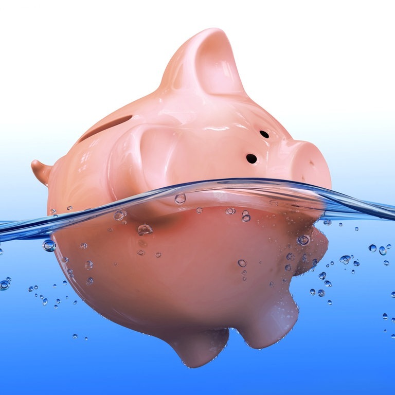 Sparschwein schwimmt im Wasser (Foto: Adobe Stock)