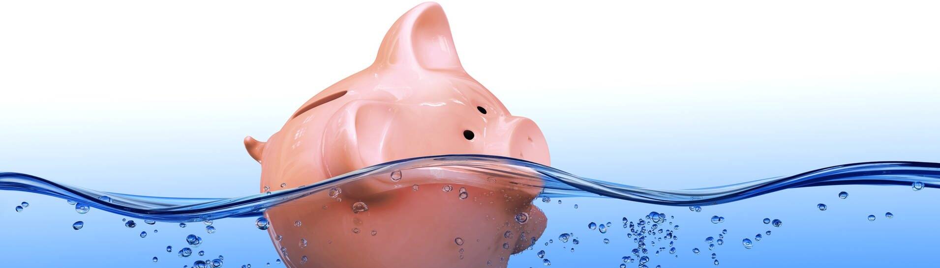 Sparschwein schwimmt im Wasser (Foto: Adobe Stock)