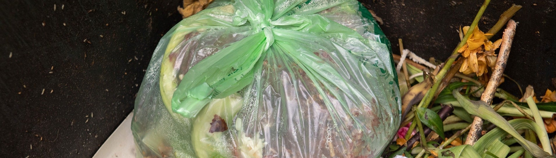 Biomülltüten besser nicht in den Biomüll werfen (Foto: dpa Bildfunk, Picture Alliance)