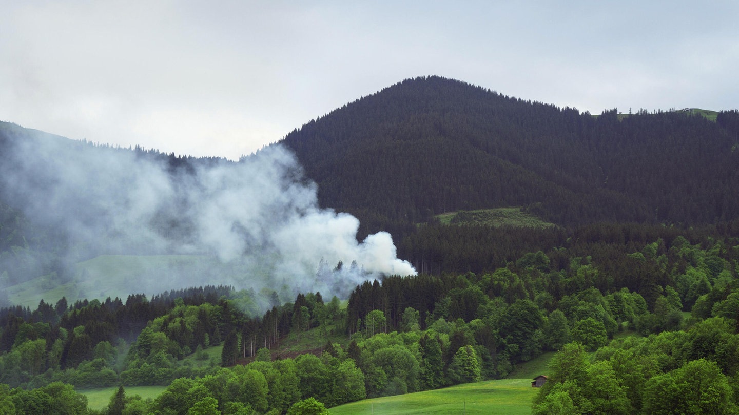 Der schnelle Wechsel vom Dauerregen zur Waldbrand-Gefahr (Foto: picture-alliance / Reportdienste, picture alliance / blickwinkel/S. Derder | S. Derder)
