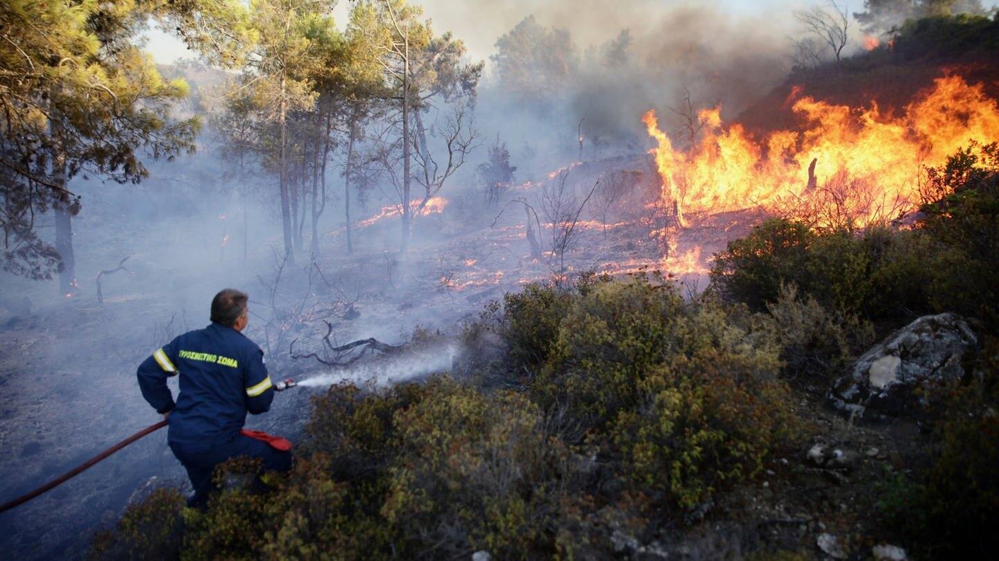Wie können wir künftig mit Waldbränden umgehen? (Foto: picture-alliance / Reportdienste, picture alliance / ZUMAPRESS.com | Aristidis Vafeiadakis)