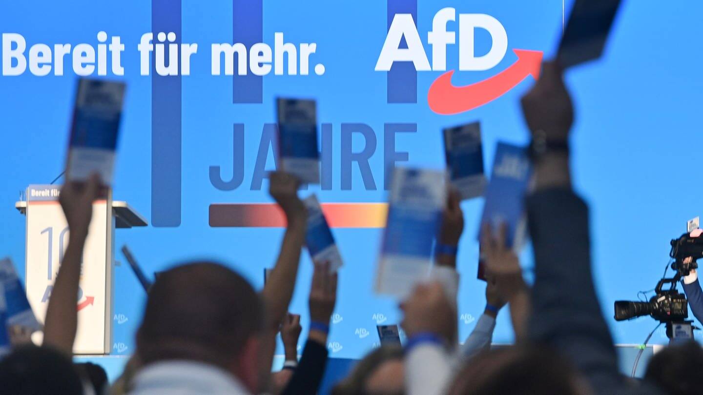 AfD-Parteitag: Rechter Höhenflug Richtung Europa (Foto: picture-alliance / Reportdienste, picture alliance / SvenSimon | Frank Hoermann/SVEN SIMON)