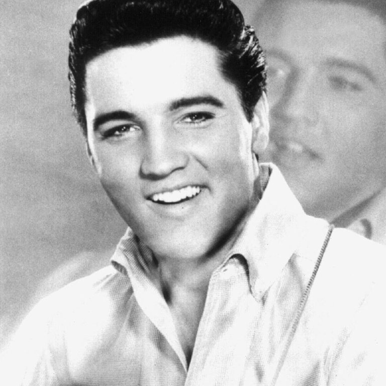 Heartbreak Hotel – Elvis Presley (Foto: picture alliance / dpa)