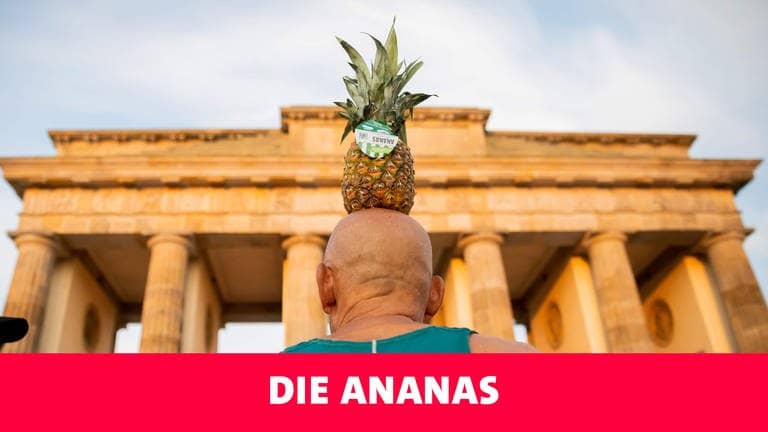 Podcast Doktorspiele, Folge: Die Ananas (Foto: picture-alliance / Reportdienste, picture alliance/dpa | Christoph Soeder)