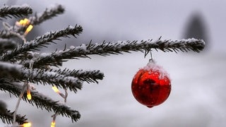 Sebastian Lehmann Elternzeit (143) Weihnachtsfolge