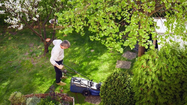 Sebastian Lehmann Elternzeit (117) Garten