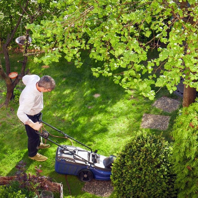 Sebastian Lehmann Elternzeit (117) Garten (Foto: SWR3)