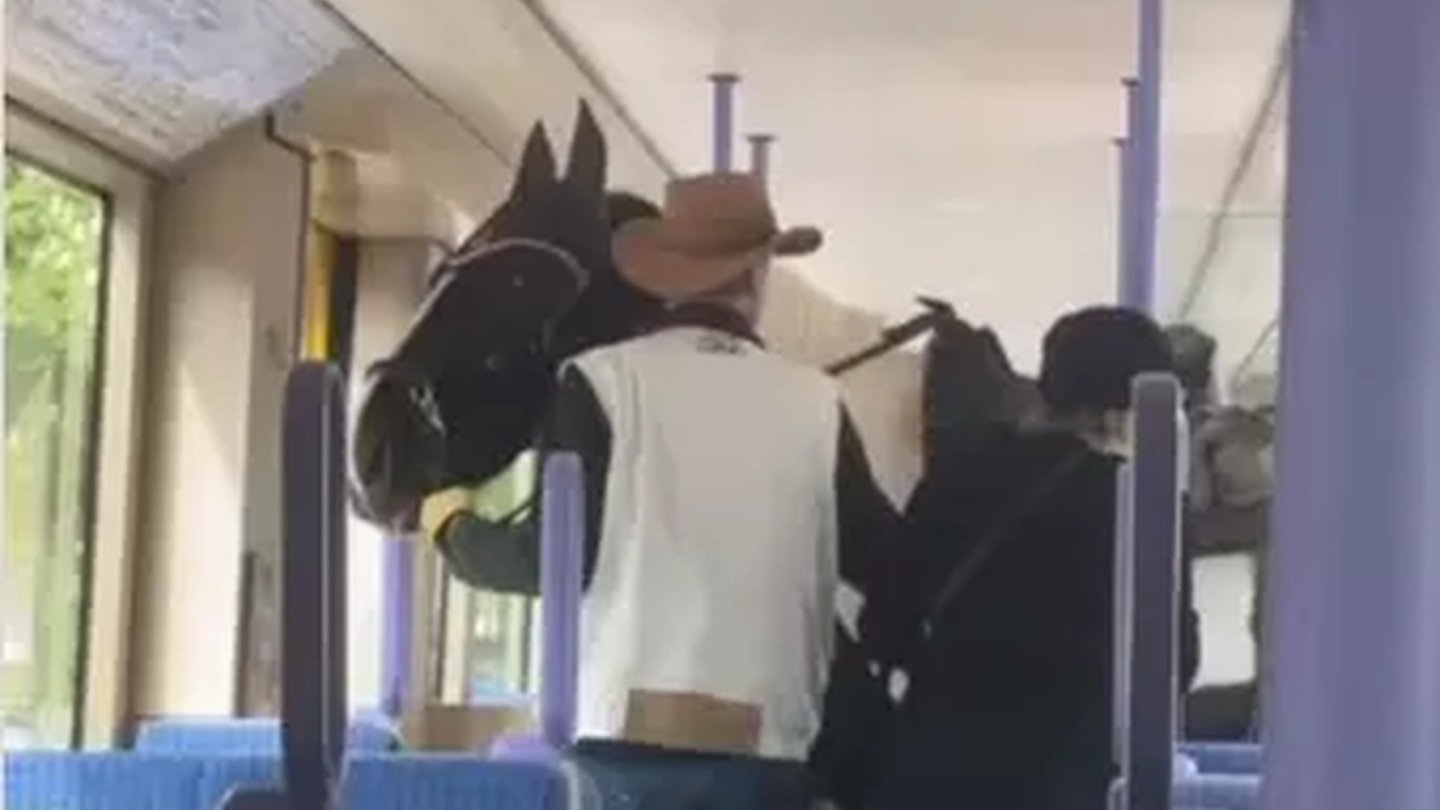 Cowboy mit Pferd in der S-Bahn (Foto: stuttgarter.meme)