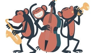 Die Corona-Band