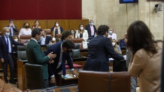 Ratte im Parlament