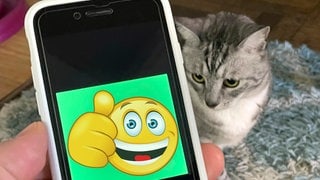 Die Transanimalator-App
