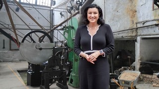 Neue Suchmaschine der Bundesregierung