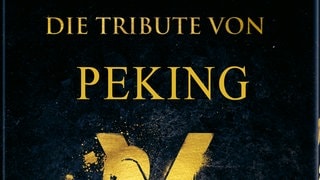 Verändertes Filmplakat der Tribute von Panem