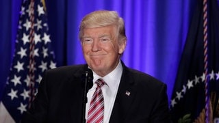 Trump zurück bei Twitter