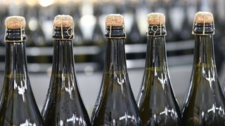 Die Lallers: Champagnerkrise
